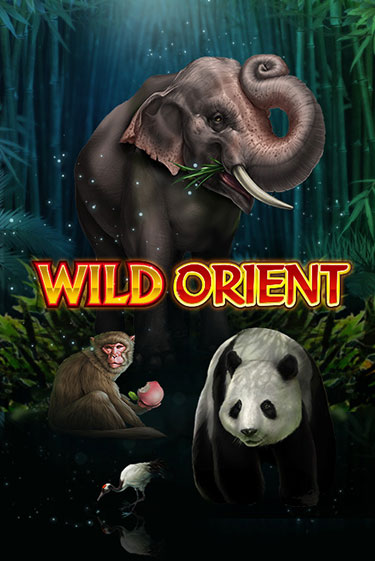 Демо игра Wild Orient без регистрации | Champion Slots BY 